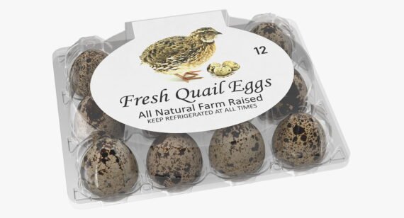 Fresh Quail Eggs 15pcs