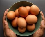 Fresh Brown Eggs 12pcs 60/70g